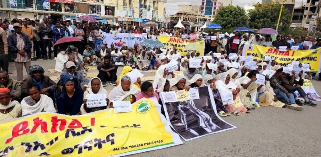 Tigray IDP protest